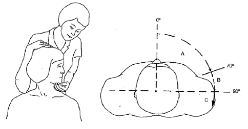 Obrázek 3. Vyšetření rotace krční páteře (Sachse, 1984)