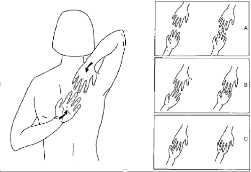 Obrázek 4. Vyšetření ramenního pletence (Sachse, 1984)